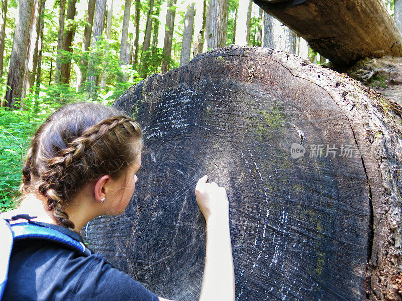 夏令营少女数年轮在森林徒步旅行