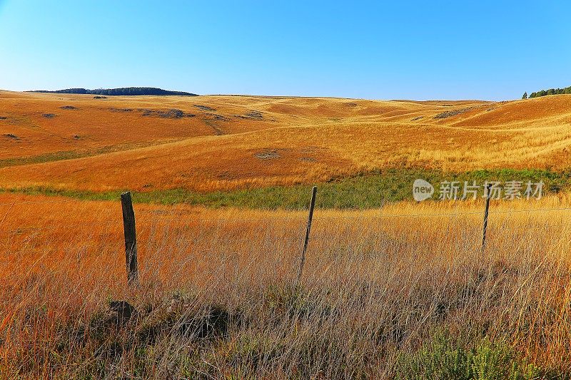 巴西南部，在金色日出的山丘上，田园诗般的风景，草地和牧场