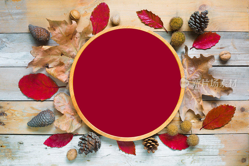 圆圆的秋天秋天，暗红色的框架与树叶红，黄，橘，枫，梧桐树的叶子，松果，胡桃木的背景，自然的背景