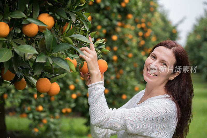 快乐成熟的女人在橘子花园