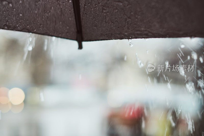 下雨的春日下了一把伞