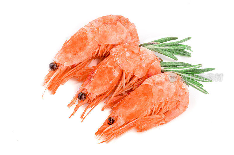 红色煮虾或虾与迷迭香孤立在白色背景