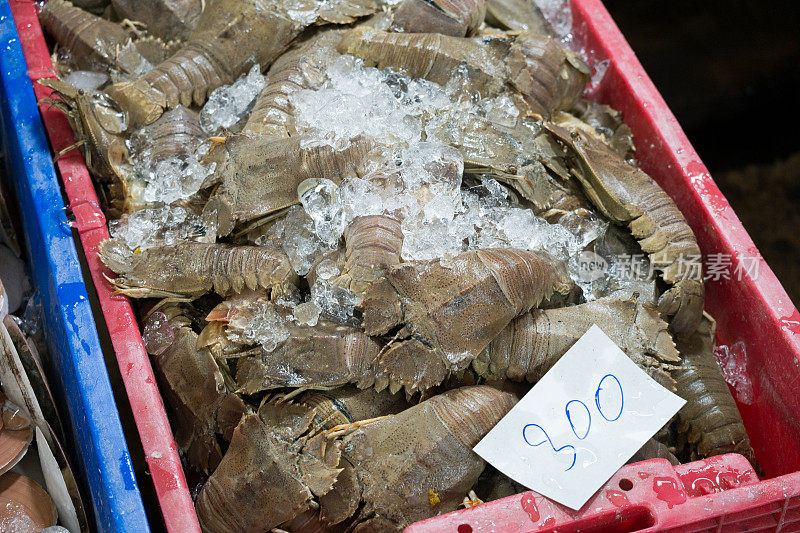 螳螂虾，口足类新鲜海鲜
