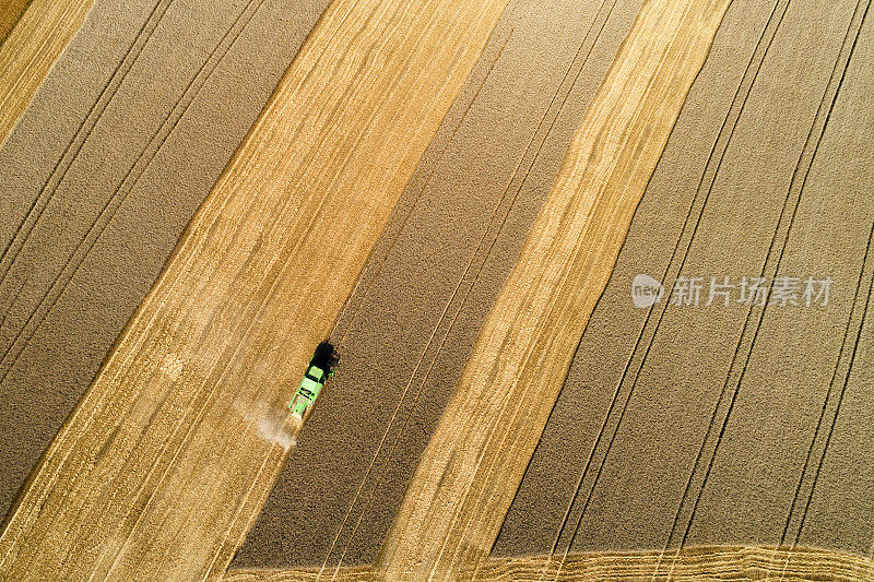 联合收割机在田间收获小麦，鸟瞰图