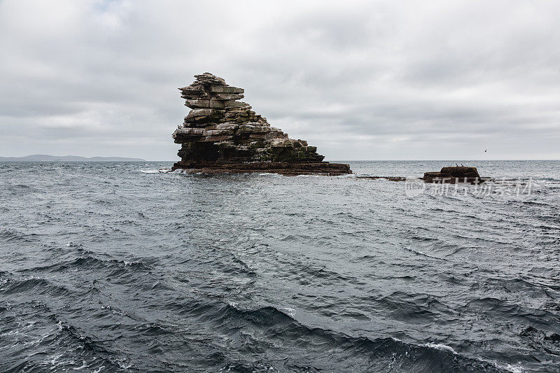 福克兰群岛的悬崖