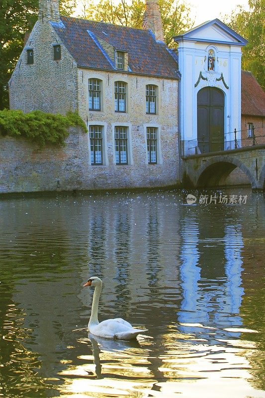 在比利时布鲁日日出时，天鹅漂浮在水道和修道院上