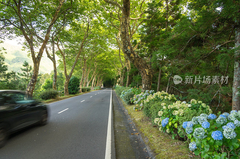 亚速尔群岛乡村公路