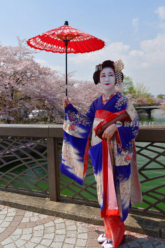 穿着美子服饰的日本女人在京都的桥上欣赏樱花