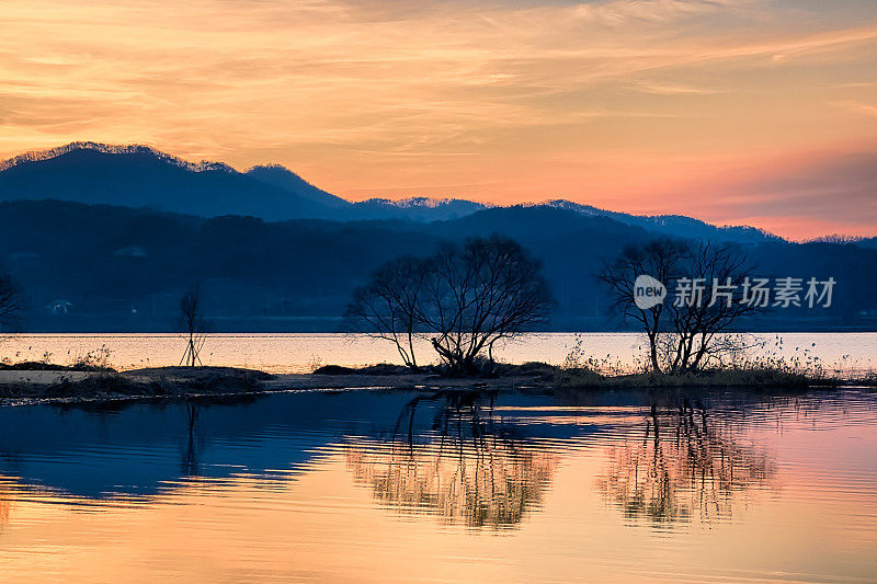 《水上花园的黎明》VD702