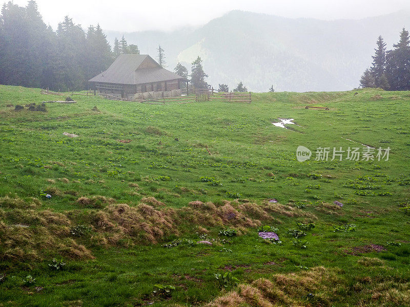 住在山里的牧羊人