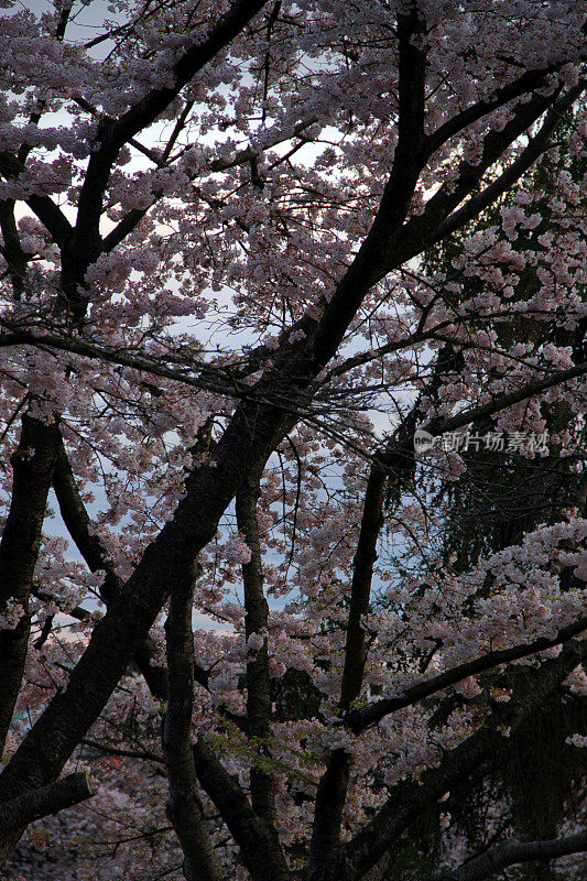 季节变化