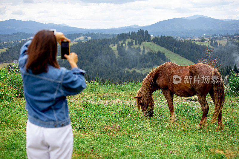 在山里用手机拍马的女人