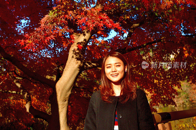 年轻的日本女人站在明亮的，红色的枫叶在井岛公园，东京