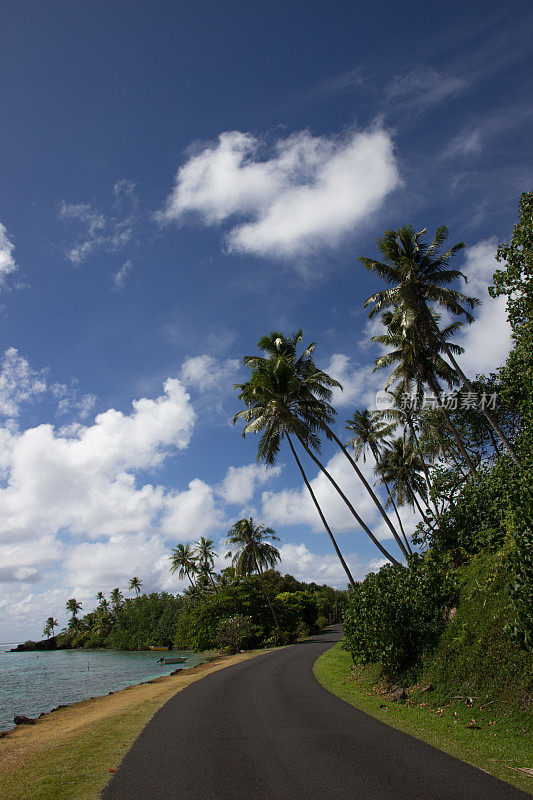 在法属波利尼西亚的huahine上，海岸边铺着椰子树和湛蓝阳光的天空