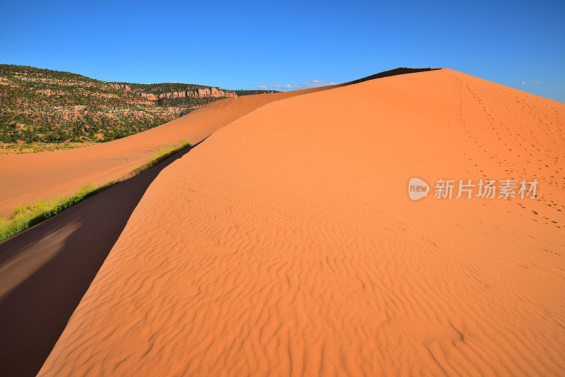 珊瑚粉沙丘州立公园