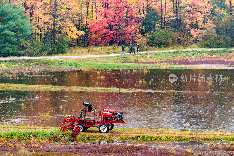 秋天的马斯科卡湖农场，加拿大安大略省