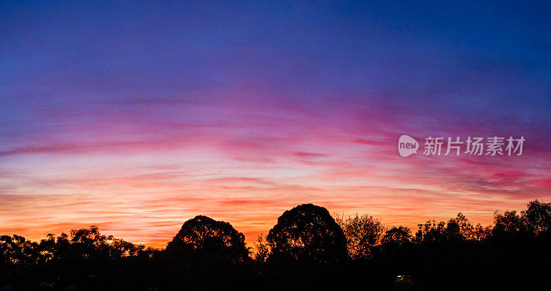 在阿德莱德市上空，彩色的日落在树梢上呈拱形