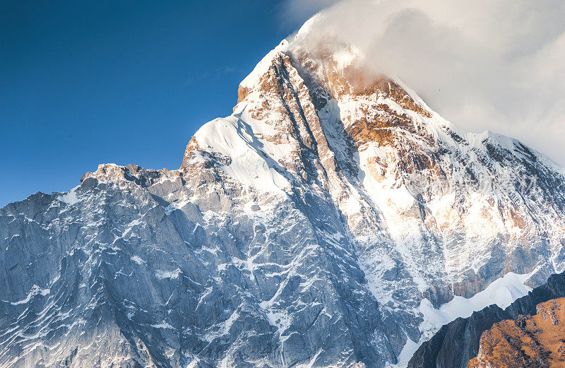 森林和树木景观纹理背景，色彩斑斓的自然景观风景亚丁，香格里拉，中国，西藏山区的秋天