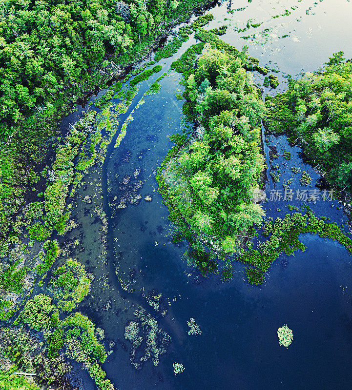 湿地鸟瞰图