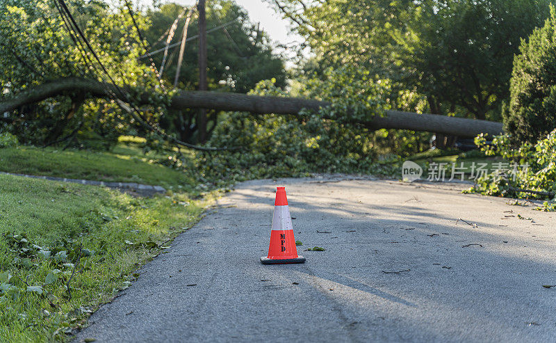 暴风雪过后，一棵大树倒在了新泽西一个小镇上，道路被交通锥所封闭，这棵大树挡住了街道，并破坏了电力线路、互联网和电视电缆。