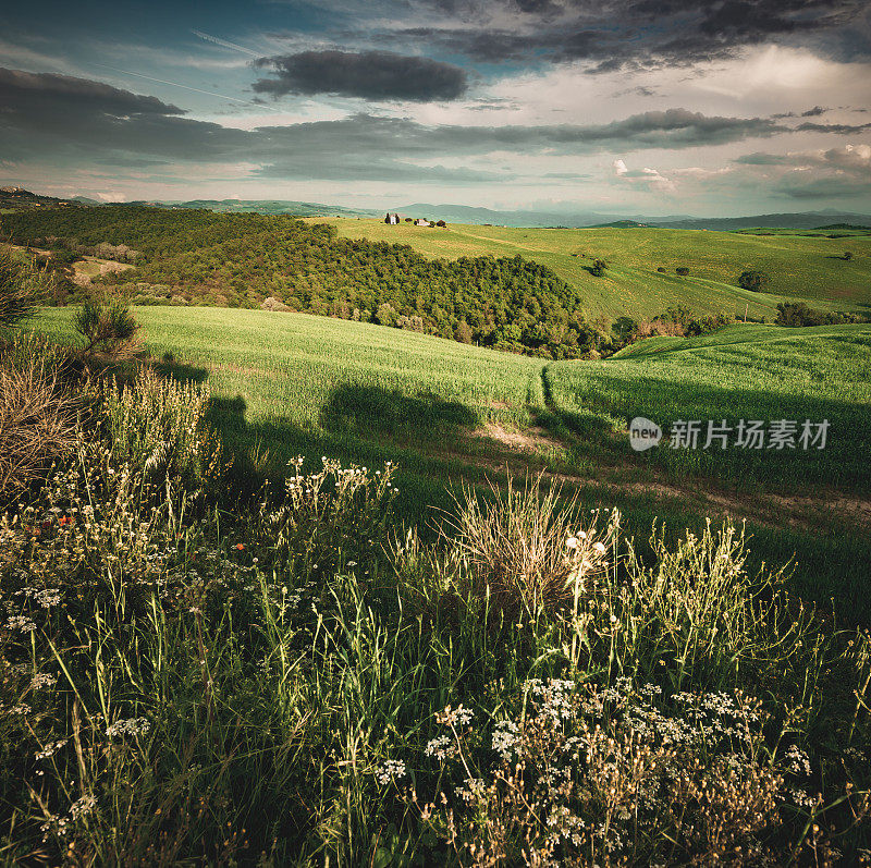 来自意大利托斯卡纳瓦尔德奥西亚的意大利风景