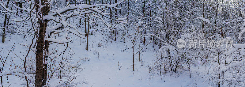 汉密尔顿，安大略-雪景沿着悬崖铁路小径