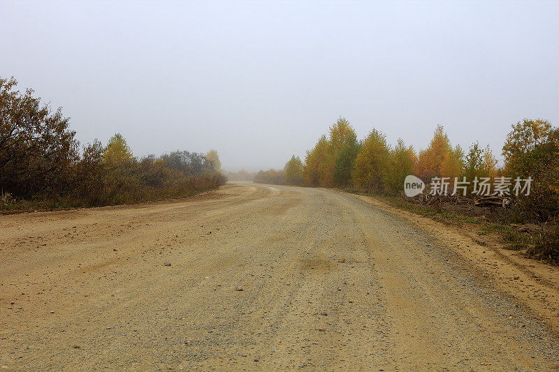 这条路在雾中