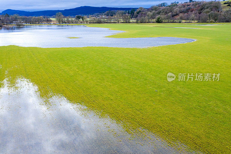 大雨后被淹没的田地的高角度视图