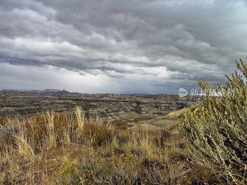 新墨西哥沙漠上空形成了穆迪暴风云