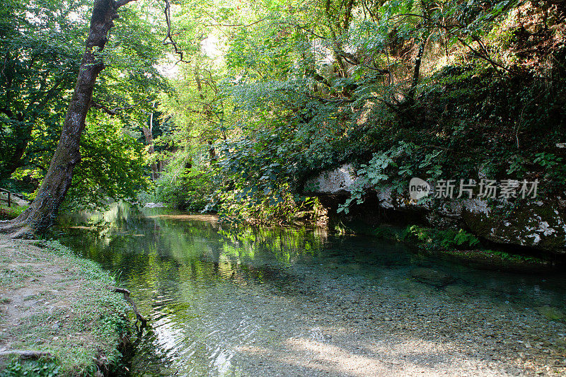 绿树成荫的宁静河流