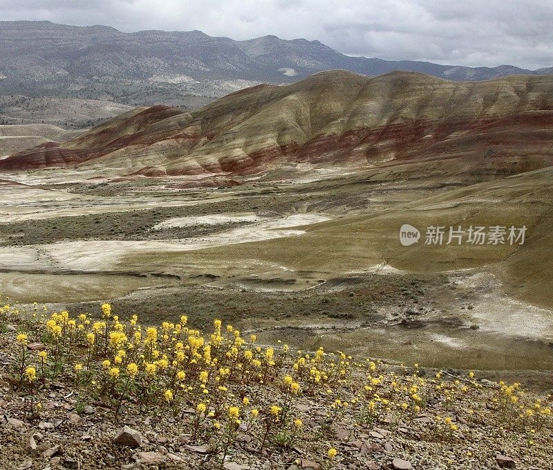 参观约翰・戴化石床国家纪念碑和他们的彩绘山丘