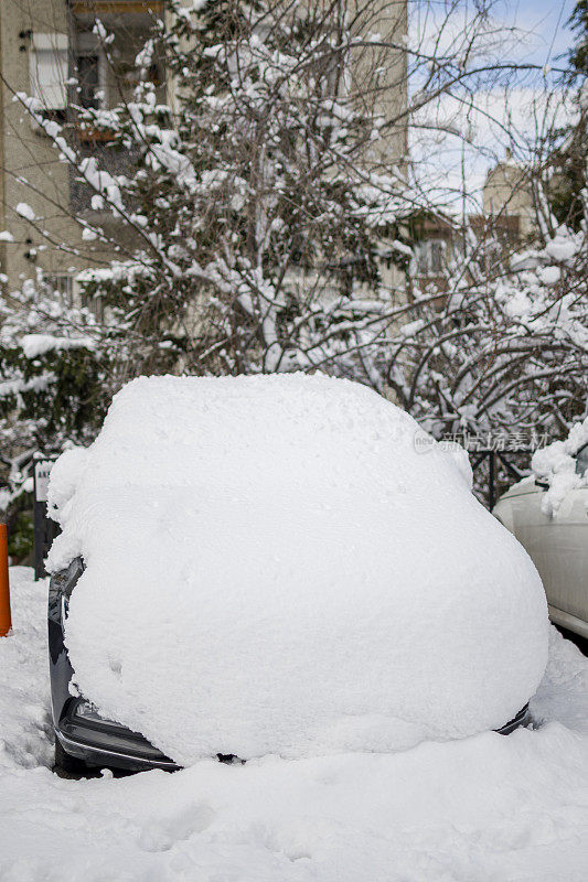 美丽的冬季公园，树木覆盖着雪