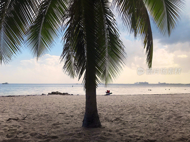 空旷的热带沙滩上有棕榈树
