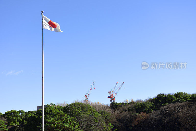 日本国旗在风中摇曳，前面的森林和鹤的拷贝空间