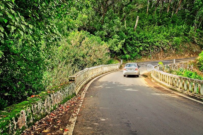 通往夏威夷毛伊岛哈纳岛的狭窄而曲折的单车道公路