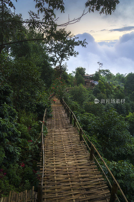 泰国清莱省土法熙的早晨，美丽的山景