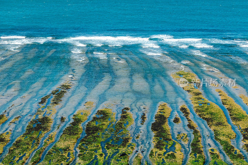 海浪的抽象图像。长满杂草的沙洲就像大海里伸出的绿手指。