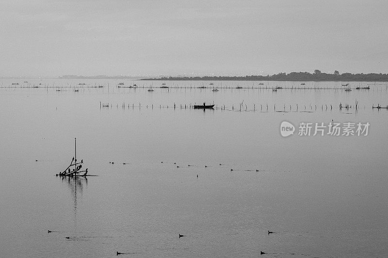 在Skadar湖，Shiroke湖，Shkodra湖钓鱼