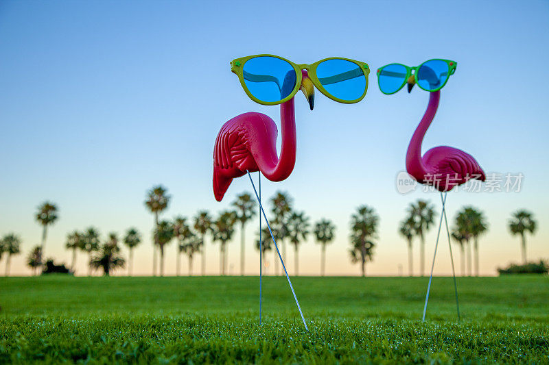 绿色草坪上的两只塑料粉色火烈鸟照片