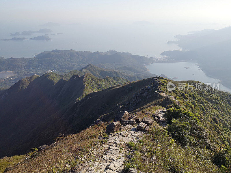 中狗牙，蛟雅岭，香港