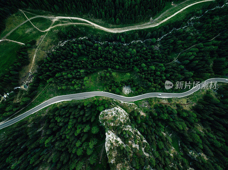 森林中蜿蜒道路的鸟瞰图