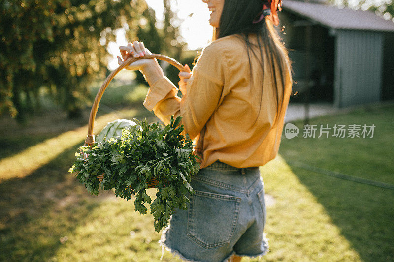 农民妇女在花园里拿着新鲜的本地有机蔬菜的特写