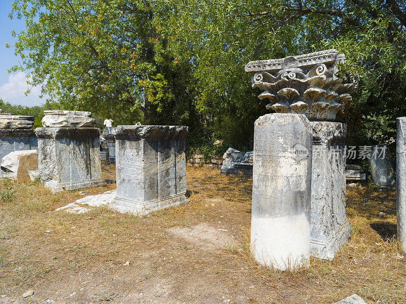 春草古城，aydın。火鸡