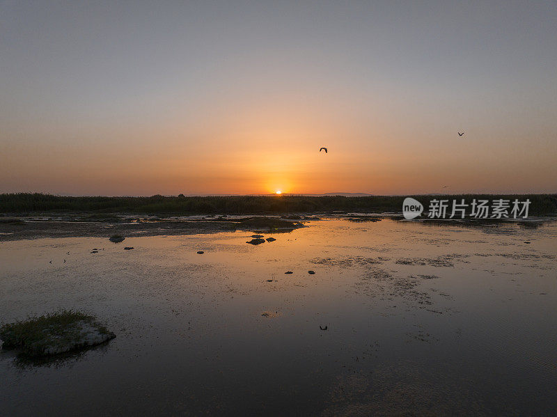 美丽的日落