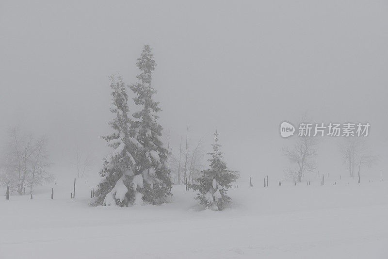 山上有浓雾和大雪