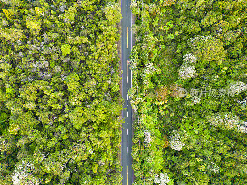 蜿蜒的道路穿过茂密的树林。