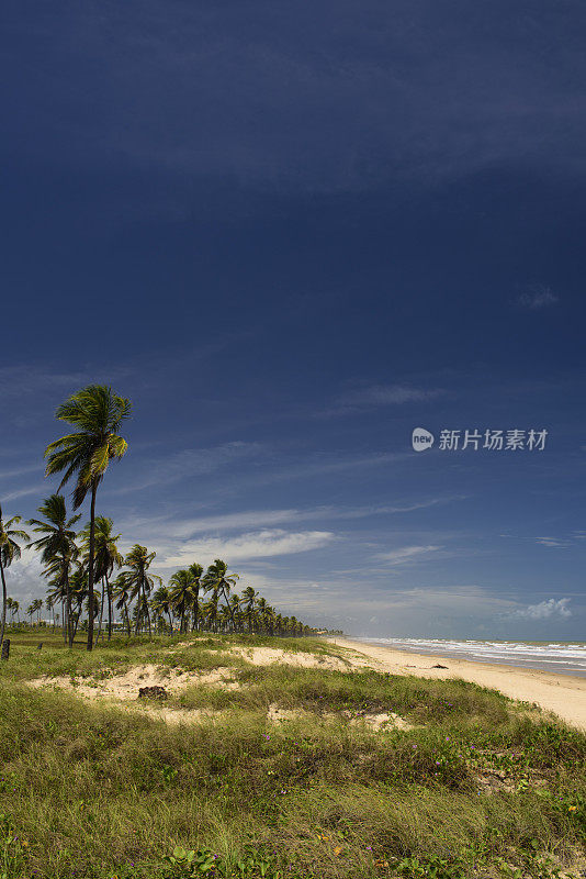 巴西阿拉卡州的科斯塔海滩