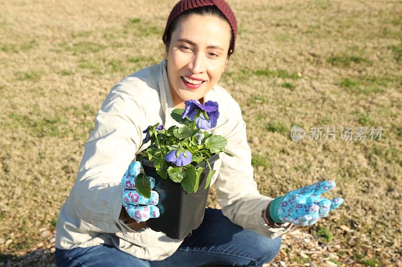 一名妇女通过种植三色堇开始了她的园艺工作