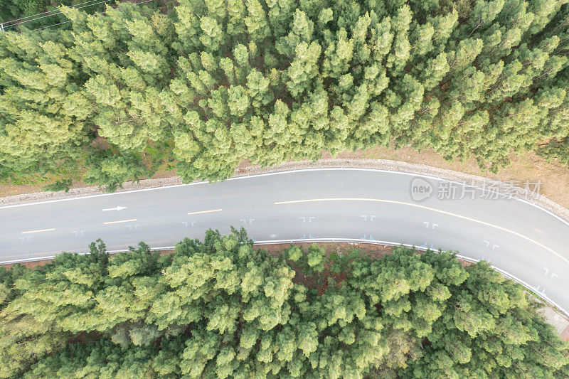 森林中柏油路的鸟瞰图