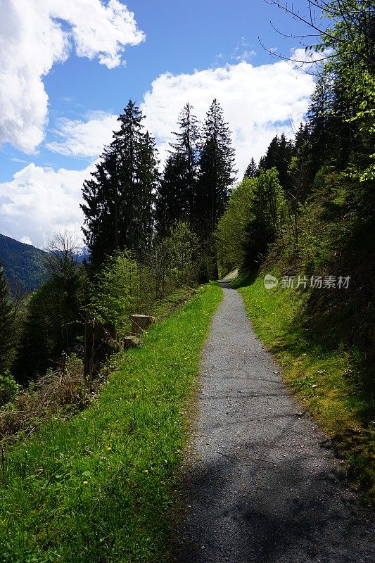 一条穿过山脉、草地和湖泊的小径。穿过草地的小径。奥地利春天的步道。一条在山中行走的小路。沿着湖的步道。